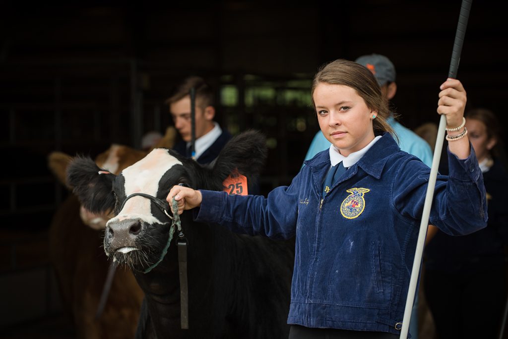 Girl in FFA jacket holds a show stick and leads a black show steer with a white face out of a barn
